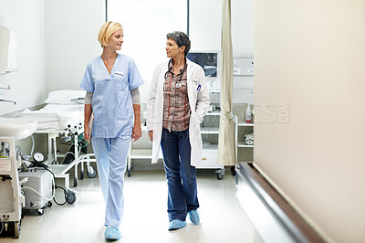 Buy stock photo Shot of two female doctors walking down a hospital corridor