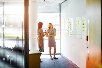 Buy stock photo Shot of two professional businesswoman meeting in the office