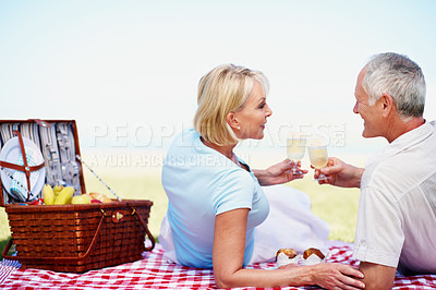 Buy stock photo A happy mature couple celebrating their anniversary while enjoying a picnic on a sunny day
