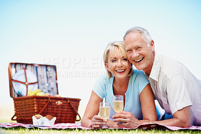 Buy stock photo A portrait of a happy mature couple enjoying a picnic on a sunny day