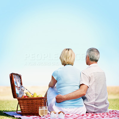 Buy stock photo A rear view shot of an affectionate mature couple having a picnic on a summer day