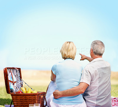 Buy stock photo An rear view shot of an affectionate mature couple bonding while enjoying a picnic on a sunny day