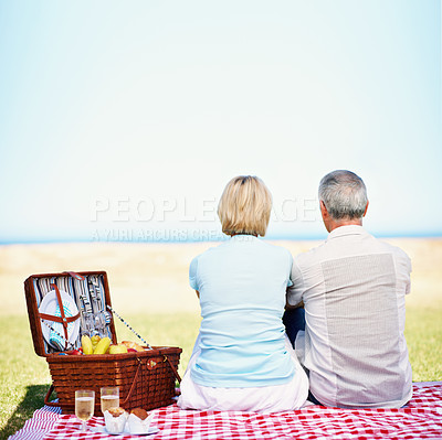 Buy stock photo A rear view shot of a mature couple having a picnic on a summer day