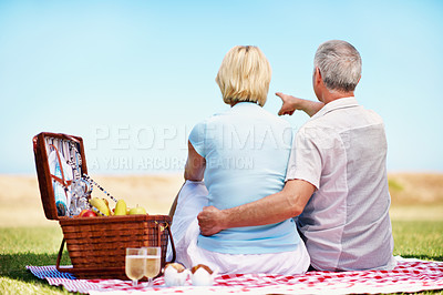 Buy stock photo An rear view shot of an affectionate mature couple spending quality time togerher on a picnic during summer