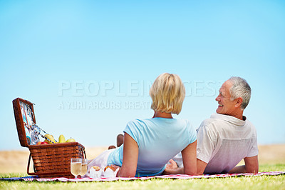 Buy stock photo A rear view shot of a happy mature man enjoying a picnic with is wife