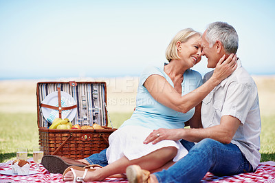 Buy stock photo A cropped shot of a loving mature couple enjoying a picnic on a sunny day