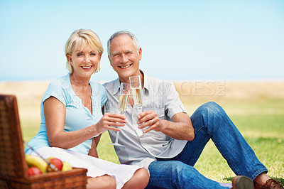 Buy stock photo A portrait of an affetionate mature couple toasting each other while enjoying a picnic