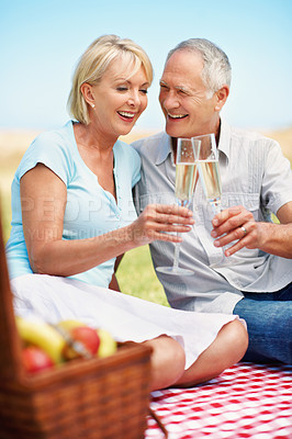 Buy stock photo A cropped shot of an affetionate mature couple toasting each other while enjoying a picnic