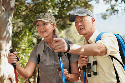 Buy stock photo A shot of a man showing his wife something in the forest
