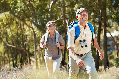 Buy stock photo Shot of an adventurous senior couple walking together in the forest