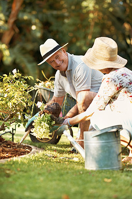 Buy stock photo Shot of a smiling senior couple gardening in their yard