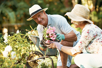Buy stock photo Portrait of a happy senior couple planting flowers in their yard