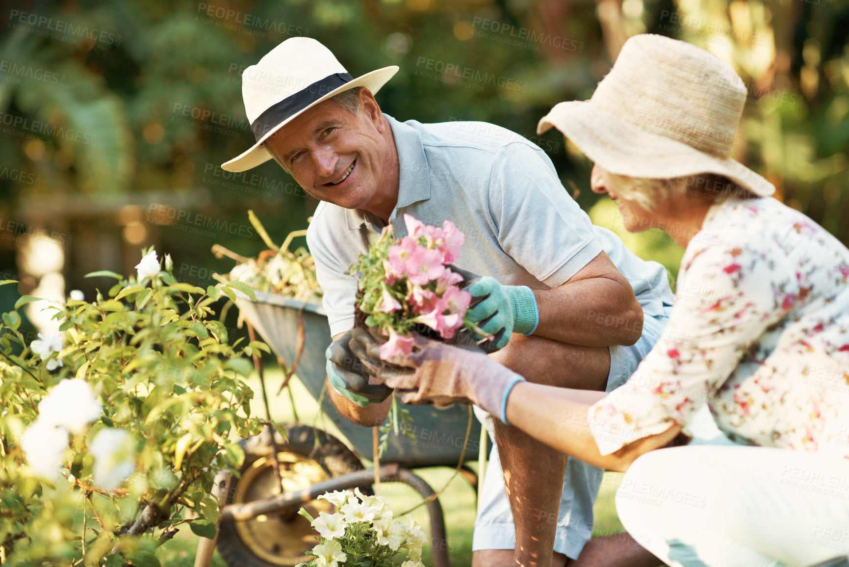 Buy stock photo Happy, gardening and portrait of senior couple outdoor with bonding, love and connection in marriage. Smile, retirement and elderly people for planting flowers for horticulture, landscaping or botany