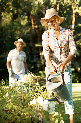 Buy stock photo Shot of a smiling senior couple gardening in their yard