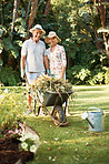 Making our garden something beautiful to behold