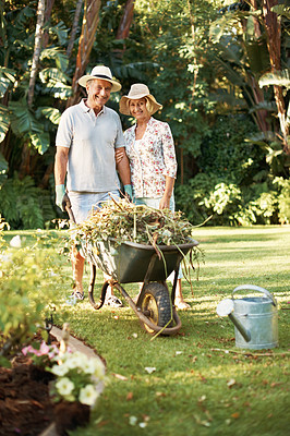 Buy stock photo Portrait of a smiling senior couple doing garden maintenance in their yard