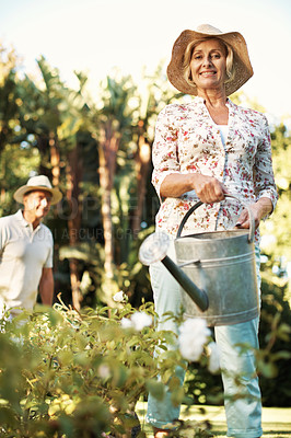 Buy stock photo Portrait of a smiling senior woman watering flowers in her yard with her husband in the background
