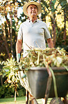 Though an old man I am but a young gardener