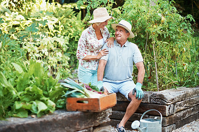 Buy stock photo Shot of a content senior couple sitting together in their garden