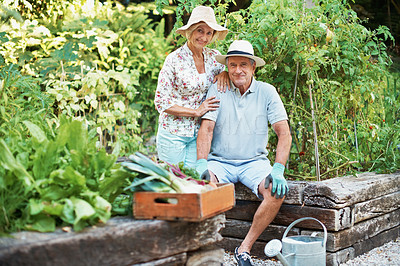 Buy stock photo Portrait of a happy and content senior couple sitting together in their garden