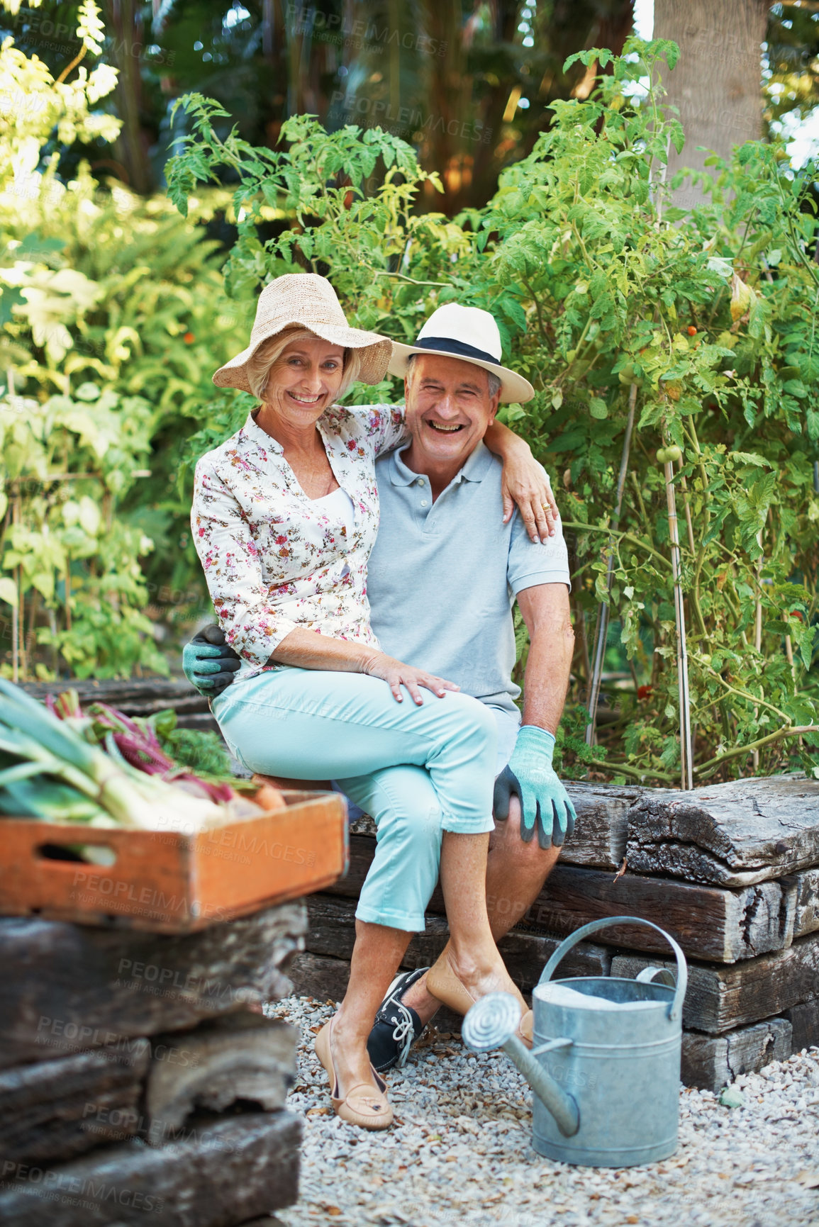 Buy stock photo Happy, gardening and portrait of senior people outdoor with bonding, love and connection in marriage. Smile, retirement and elderly man with woman by plants for horticulture, landscaping or botany.