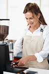 Making your coffee with the best coffee beans