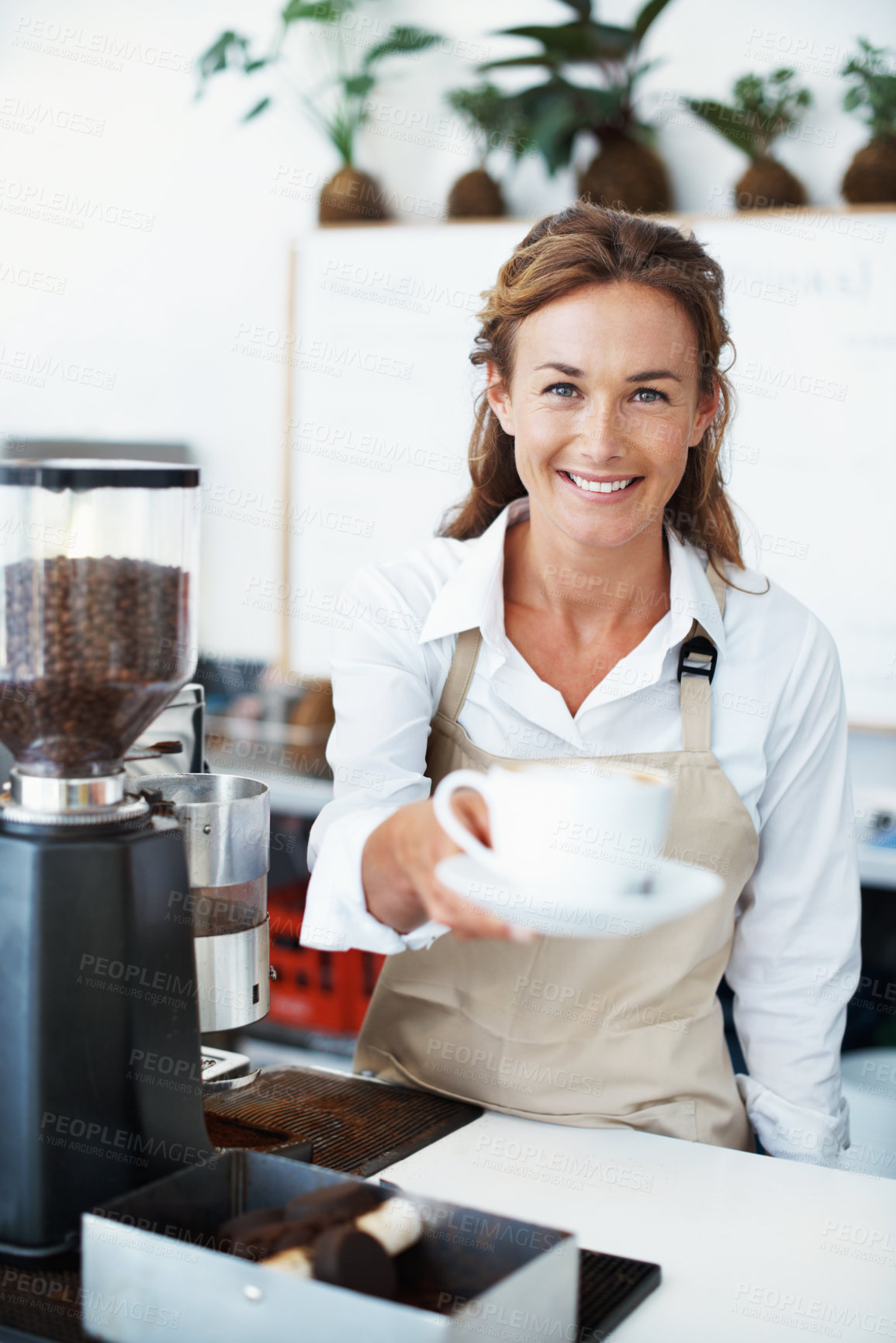 Buy stock photo Hospitality, portrait or woman in cafe with coffee, serving career or pride as beverage attendant. Ambition, smile or barista with warm drink, catering profession or confidence in restaurant industry