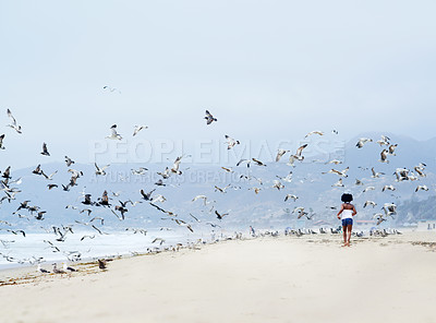Buy stock photo Rear-view of a little African-American girl running on the beach towards the seagulls