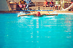Dive in!
