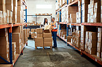 Facilitating the logistics process with solid teamwork