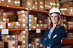 Allow me to handle the logistics process