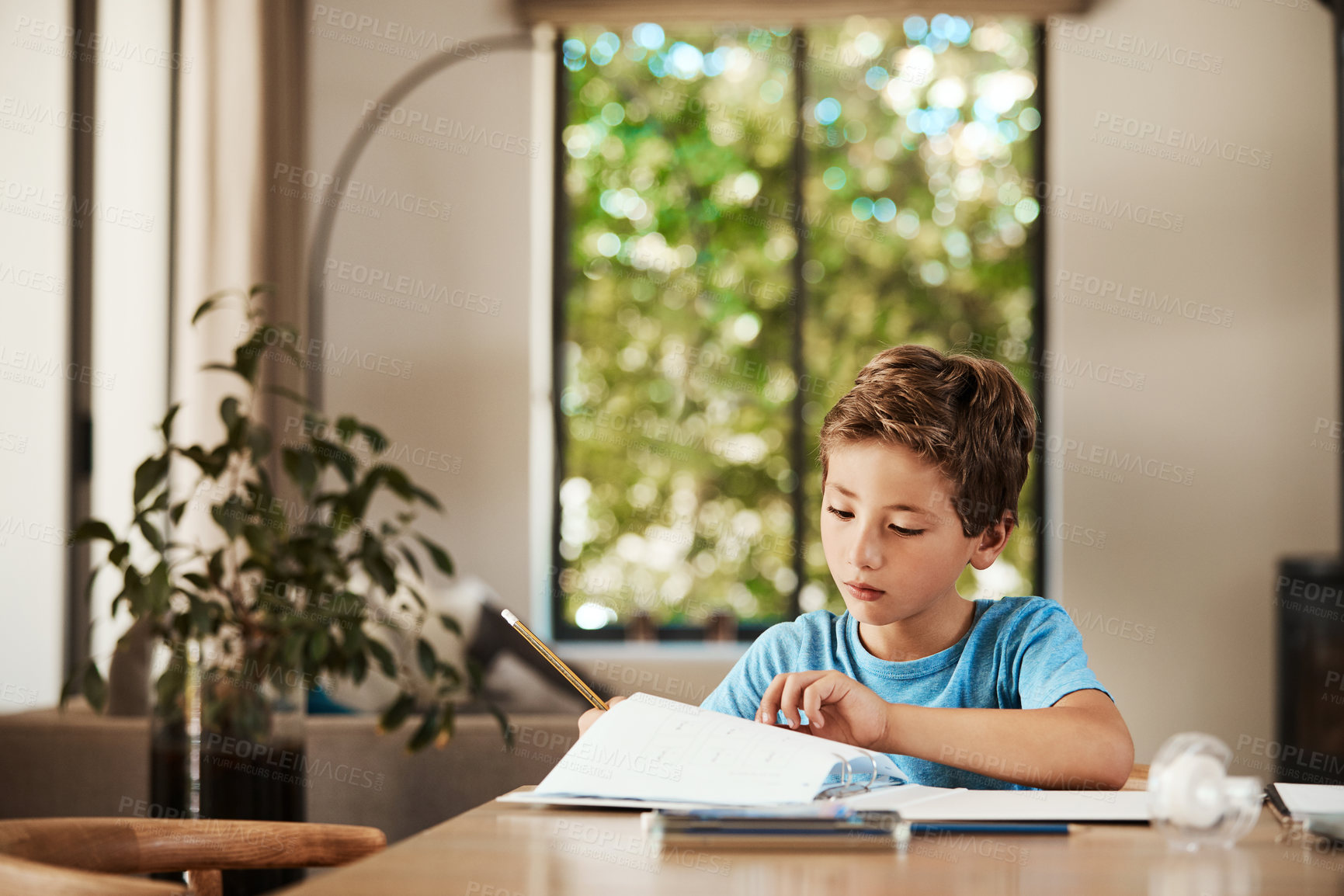 Buy stock photo Reading, learning and homework with child in house for education, student and school project. Development, knowledge and study notes with kid in living room in home for academic and assignment