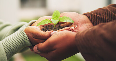 Buy stock photo Couple, soil and plant in hands for conservation, growth and save earth with environmental care. Seedling, people and support together for ecology protection, sustainability and climate change