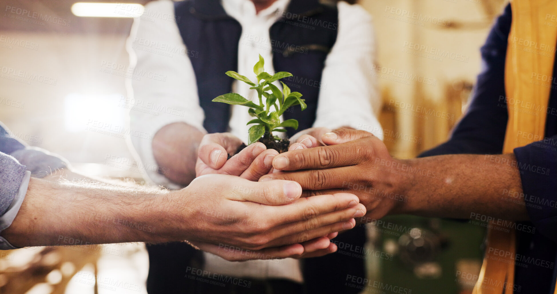 Buy stock photo Hands, people and team with plant for conservation, sustainability and support for climate change. Sprout, group and soil for green growth, environment protection and eco care for earth day in office