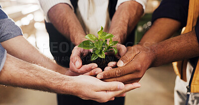 Buy stock photo Hands, people and team with plant for growth, sustainability and support together for climate change. Sprout, group and soil for green conservation, collaboration and eco care for earth day in office