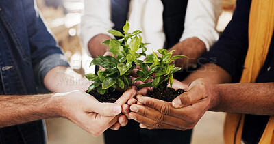 Buy stock photo Plant, sustainability and team and hands in workshop for manufacturing, zero waste timber and carpenter. Furniture restoration, eco friendly production and soil with people in warehouse for woodwork