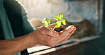Construction, hands and soil for growth in business, green architecture or plant for sustainability. Builder person, seedling and eco opportunity for urban planning, carbon capture and infrastructure