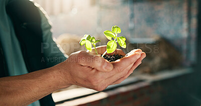Buy stock photo Construction, hands and soil for growth in business, green architecture or plant for sustainability. Builder person, seedling and eco opportunity for urban planning, carbon capture and infrastructure