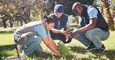 Buy stock photo Volunteer, team and plant tree for earth day, environment conservation and nature protection. NGO, people and sapling in soil for eco friendly growth, climate change and help for community service