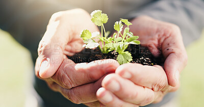 Buy stock photo Sustainable, growth and hands outdoor with plant, ethics and conservation in esg accountability. Eco friendly, soil and man with leaf, environmental awareness and responsibility in green practice.