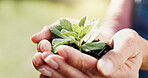 Sustainable, space and hands outdoor with plant, ethics and conservation in esg accountability. Eco friendly, growth and man with leaf, environmental awareness and responsibility in green practice.