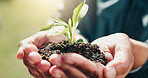 Sustainable, growth and hands outdoor with plant, ethics and conservation in esg accountability. Eco friendly, soil and man with leaf, environmental awareness and responsibility in green practice.