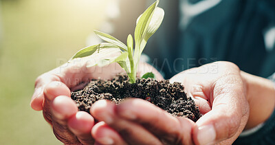 Buy stock photo Sustainable, growth and hands outdoor with plant, ethics and conservation in esg accountability. Eco friendly, soil and man with leaf, environmental awareness and responsibility in green practice.