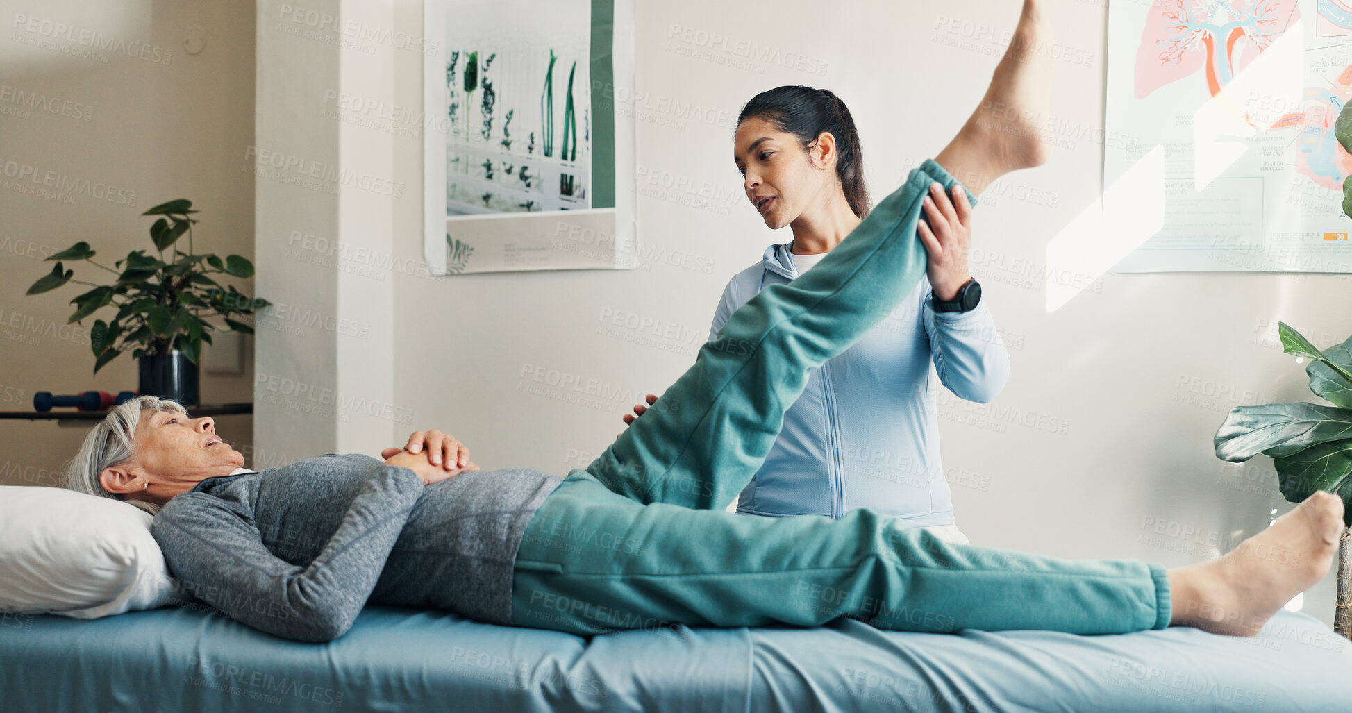 Buy stock photo Physio, checkup and stretching leg with old woman, assessment and recovery from injury. Physiotherapist, helping or senior person at clinic for physiotherapy, orthopedic evaluation and rehabilitation