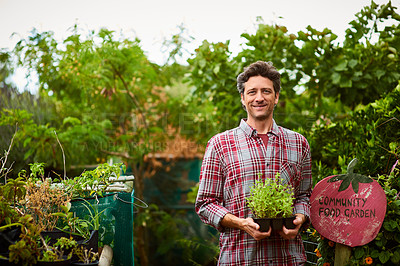 Buy stock photo Portrait of a smiling man standing in his organic garden