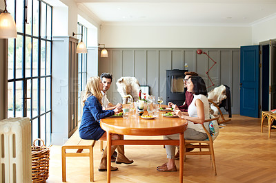 Buy stock photo Shot of a group of friends enjoying a home-cooked dinner together