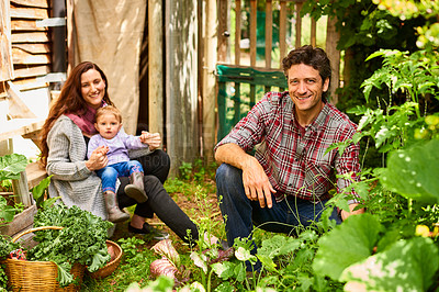Buy stock photo Portrait of a smiling couple working in their organic garden