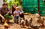 They're an organic family
