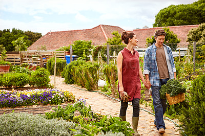 Buy stock photo Shot of a smiling couple walking in their organic garden