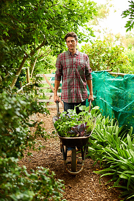 Buy stock photo Portrait of a man pushing a wheelbarrow through his organic garden